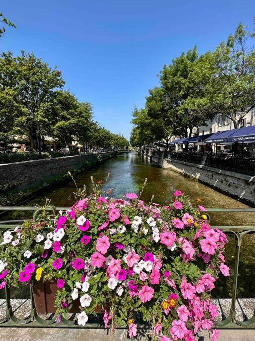 Lou Paseo : Appartement Brocante centre historique - Two-Bedroom Apartment - 43