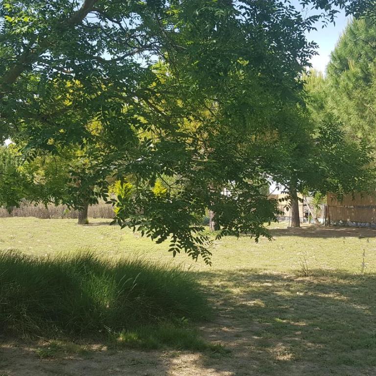 Domaine de L'Outarde Canepetiére Gîte A - Maison 1 Chambre - 19