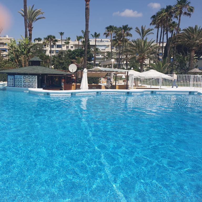 Apartamento Playasol Garden - Apartamento con vistas a la piscina - 2