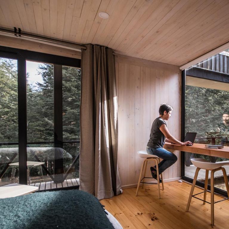 Refugio Austral Coigües en Corralco - Casa de 3 dormitorios - 38
