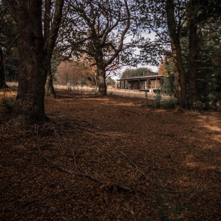 Refugio Austral Coigües en Corralco - Casa de 3 dormitorios - 17