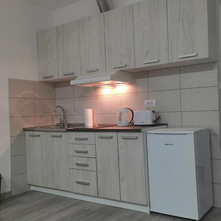 Studio apartmani Banja Koviljaca - Studio - 11