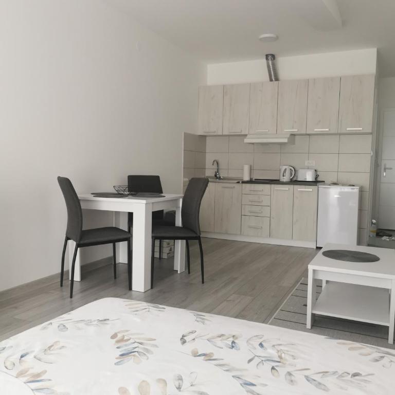 Studio apartmani Banja Koviljaca - Studio - 10