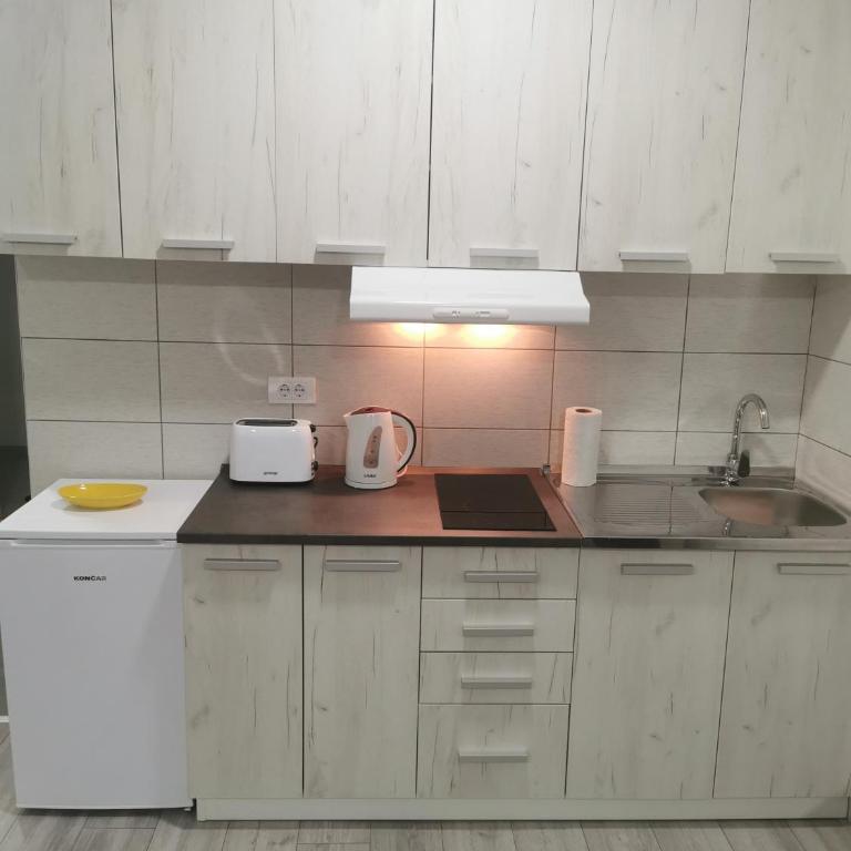 Studio apartmani Banja Koviljaca - Family Studio - 12