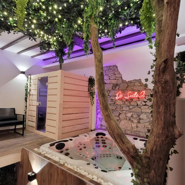 Grenoble LA SUITE 2 spa jaccuzzi et sauna privatif - Suite Deluxe avec Baignoire Spa - 3