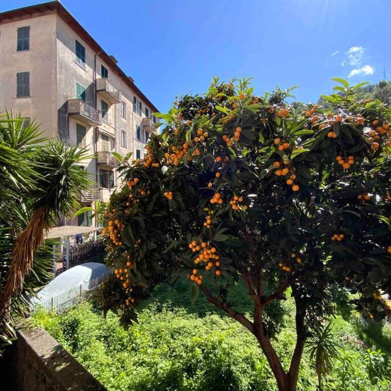 Amazing Grace Apartment (CITRA 011015-LT-2446) - Two-Bedroom Apartment - 24