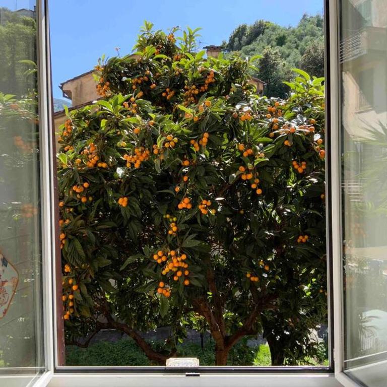 Amazing Grace Apartment (CITRA 011015-LT-2446) - Two-Bedroom Apartment - 29