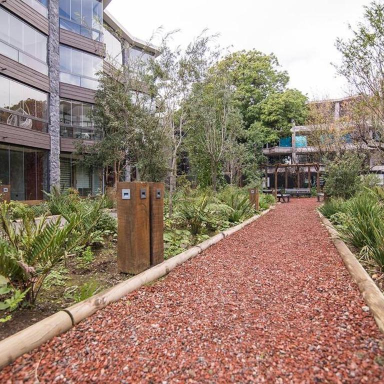 Departamento Origen Pucon - Apartment with Balcony - 24