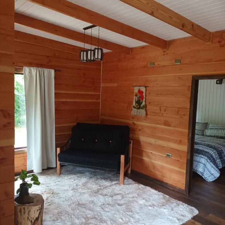 cabañas en neltume - Apartamento de 2 dormitorios - 4