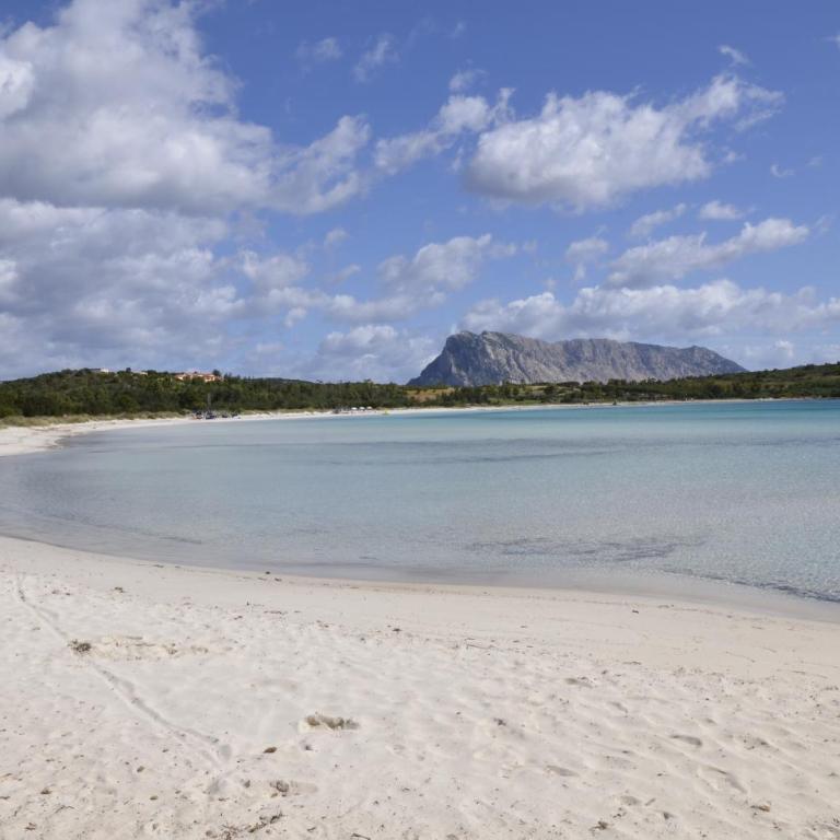 Le Villette di San Teodoro - Casa a Schiera con 2 Camere da Letto - 10