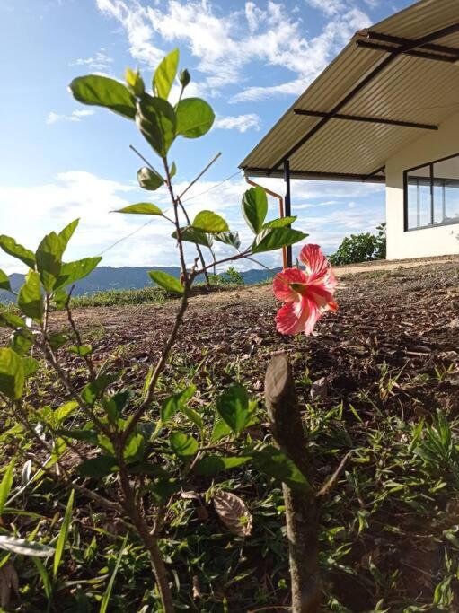 Casa de campo en La Vega, hermosa vista, con Internet y parqueadero - Casa de 3 dormitorios - 38