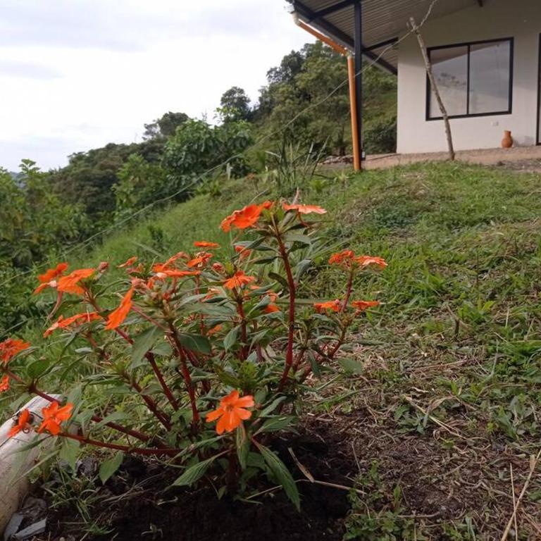 Casa de campo en La Vega, hermosa vista, con Internet y parqueadero - Casa de 3 dormitorios - 50