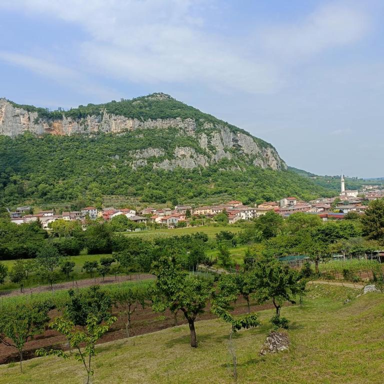 Boutique apartment Alla Dolce Vita - Appartamento con 1 Camera da Letto - 23