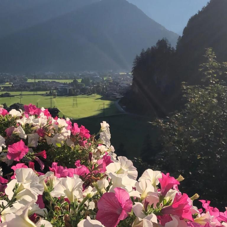 Apartment in Mayrhofen near Penkenbahn Cable Car - Two-Bedroom Apartment - 22