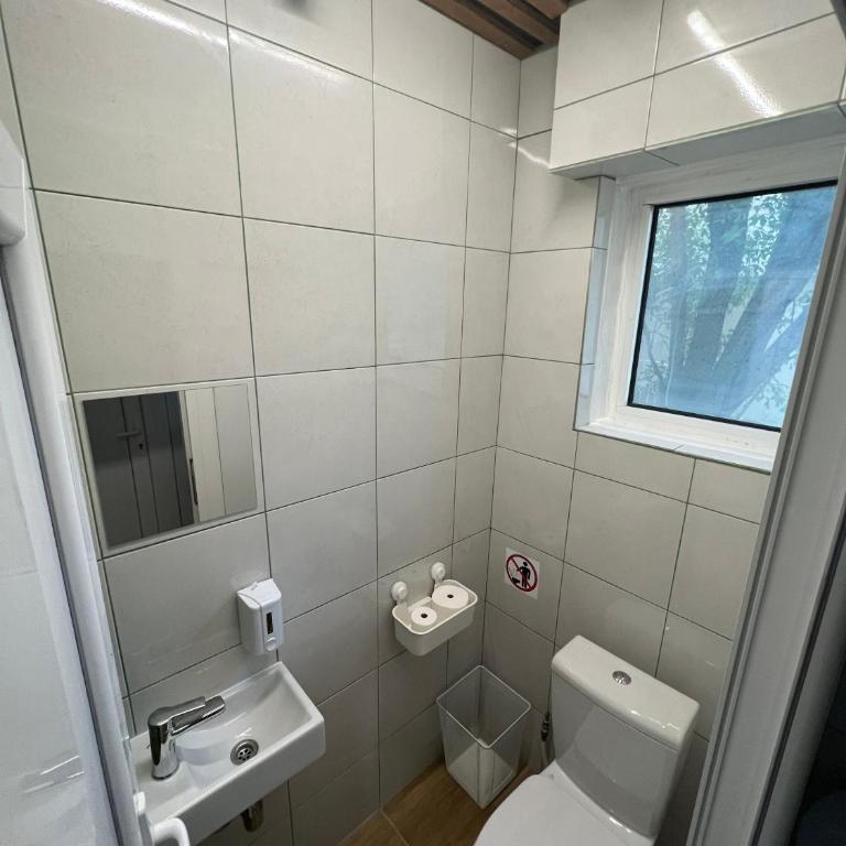 Cabbage Hostel - Krevet u 6-krevetnoj Mešanoj Spavaonici - 8