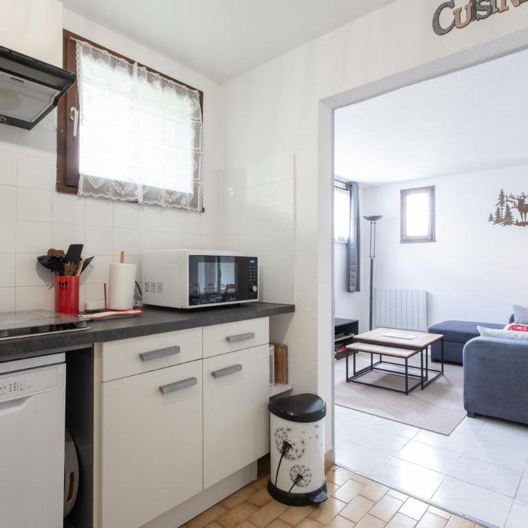 Les Arolles - Appartement vue sur la montagne - Appartement 1 Chambre - 10