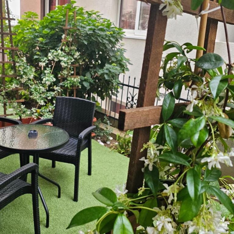 Villa Alba Apartments - Studio with Terrace - 5