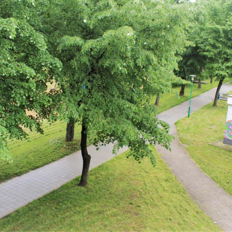 GREEN Apartment - Apartman sa 1 Spavaćom Sobom - 25