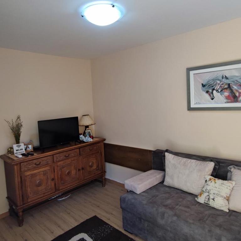 Rakocevic Apartments - Apartman sa 1 Spavaćom Sobom - 7