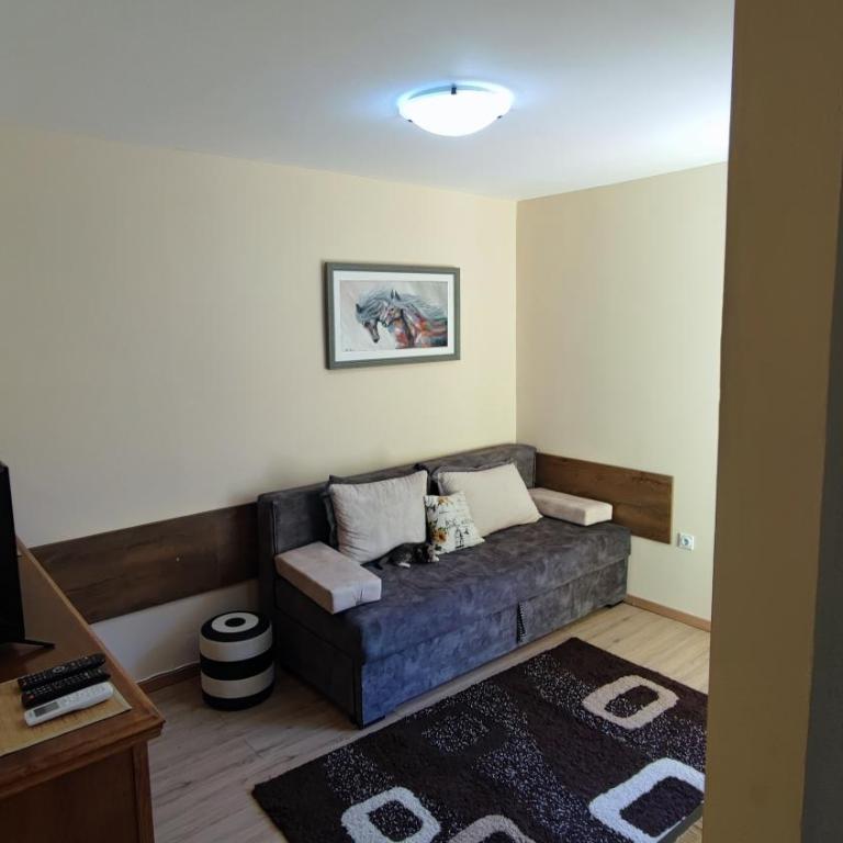 Rakocevic Apartments - One-Bedroom Apartment - 8