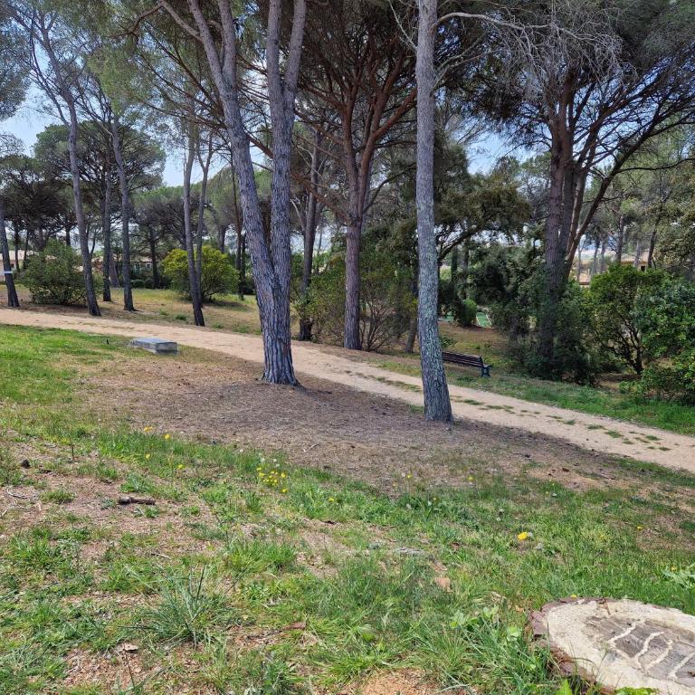 Grand T3 - Terrasse les pieds dans l'eau - Climatisation - Apartamento de 2 dormitorios - 19