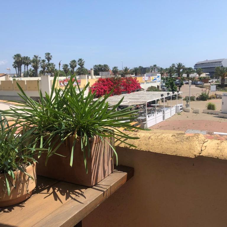 Naturiste Port Soleil avec piscine - Appartement - 4
