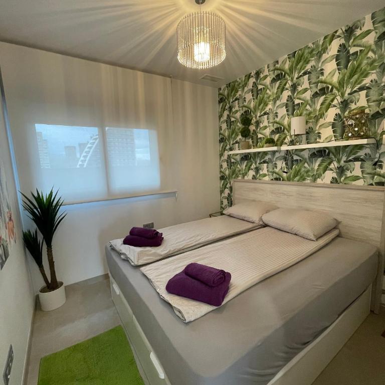 Sunset Cliffs by Mar Holidays - Apartamento de 2 dormitorios - 6