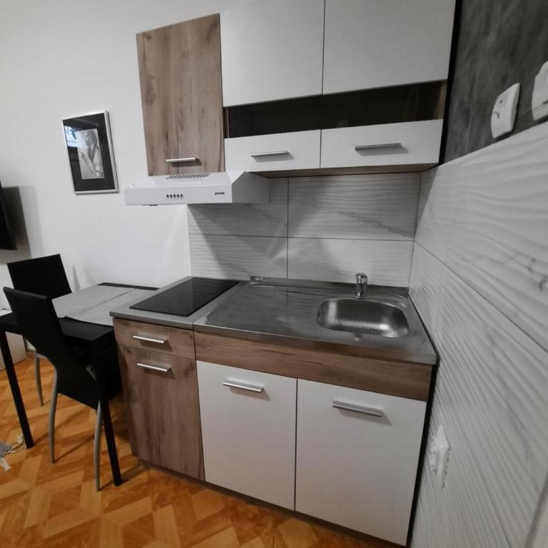 Apartman STEVAN Vrnjačka Banja - Studio Apartman - 6