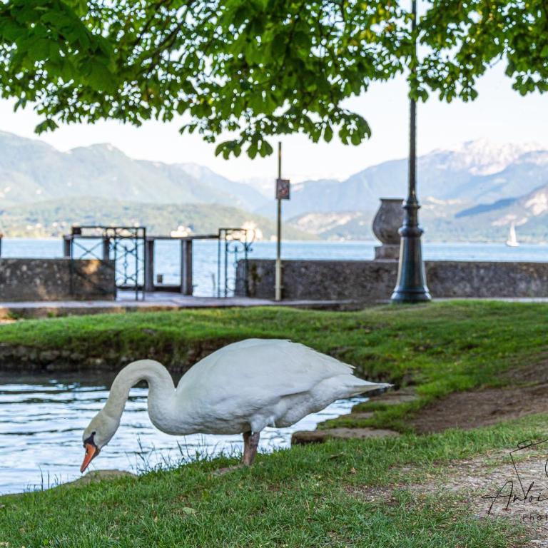 L'Amédée - Appt à 500m du lac - Appartamento con 2 Camere da Letto - 13
