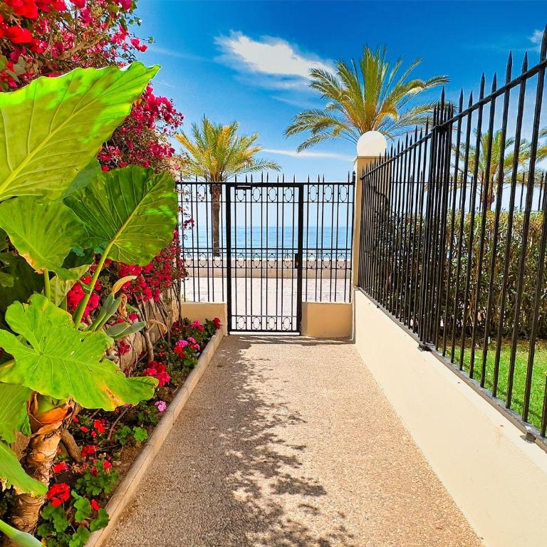 Diana 206. Completely Renovated Apartment on the Beachfront. - One-Bedroom Apartment - 29