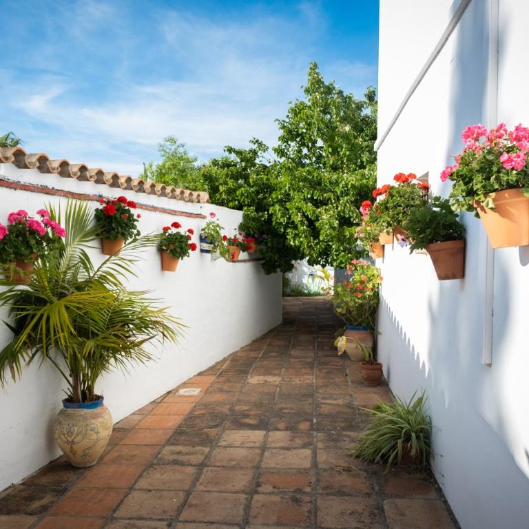Apartamentos Turísticos Cabo Roche - Apartamento de 2 dormitorios (4 adultos) - 15