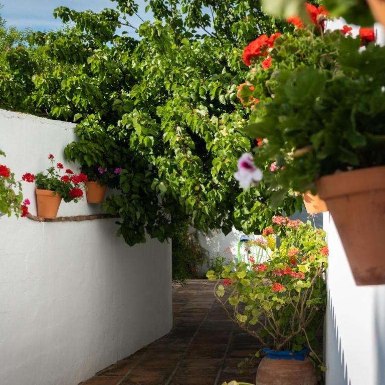 Apartamentos Turísticos Cabo Roche - Apartamento de 2 dormitorios (4 adultos) - 24