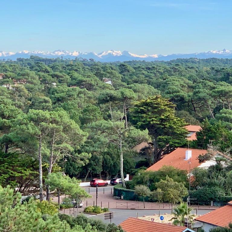 Vue de l'Océan à la forêt, la plage à vos pieds - Apartment mit 1 Schlafzimmer - 41