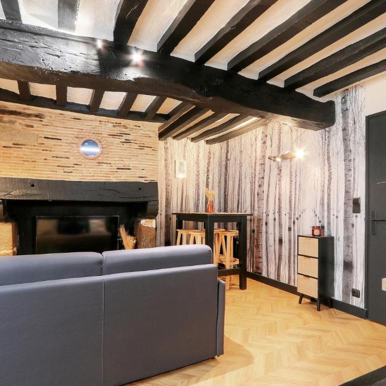 Le Moon, bel appartement près du parc du Thabor - Apartamento de 1 dormitorio - 2