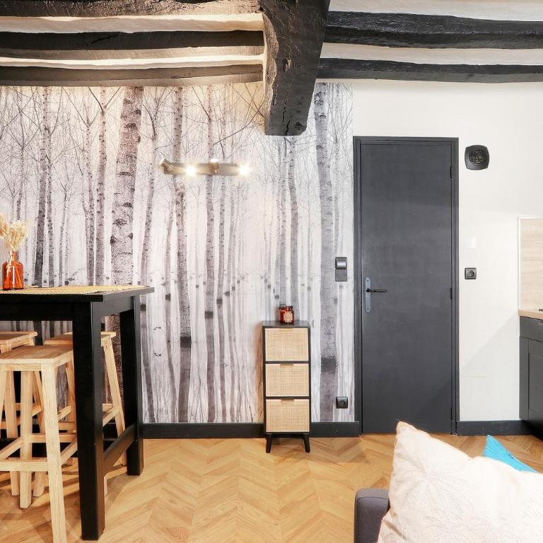 Le Moon, bel appartement près du parc du Thabor - Apartamento de 1 dormitorio - 5