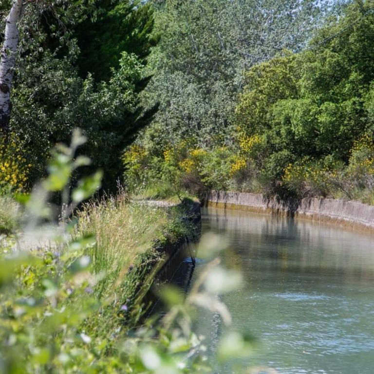 Le Jardin sur la colline près du Golf - Villa - 63