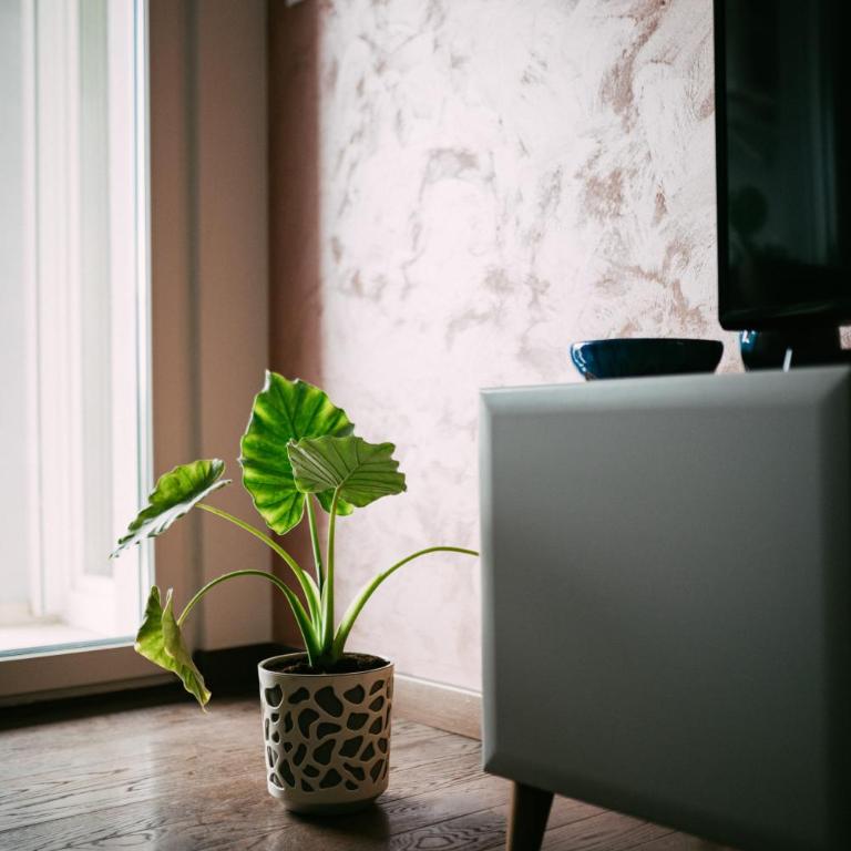 Klicakn - One-Bedroom Apartment - 9