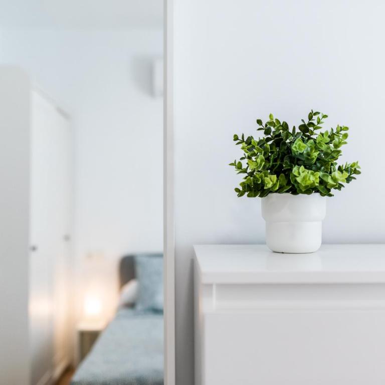 Apartamento moderno junto a Plaza Toros y Hospitales con Parking bajo petición - Three-Bedroom Apartment - 12