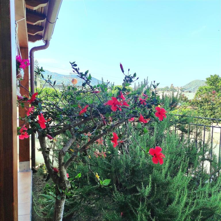"A Mennulita" - One-Bedroom Apartment - 29