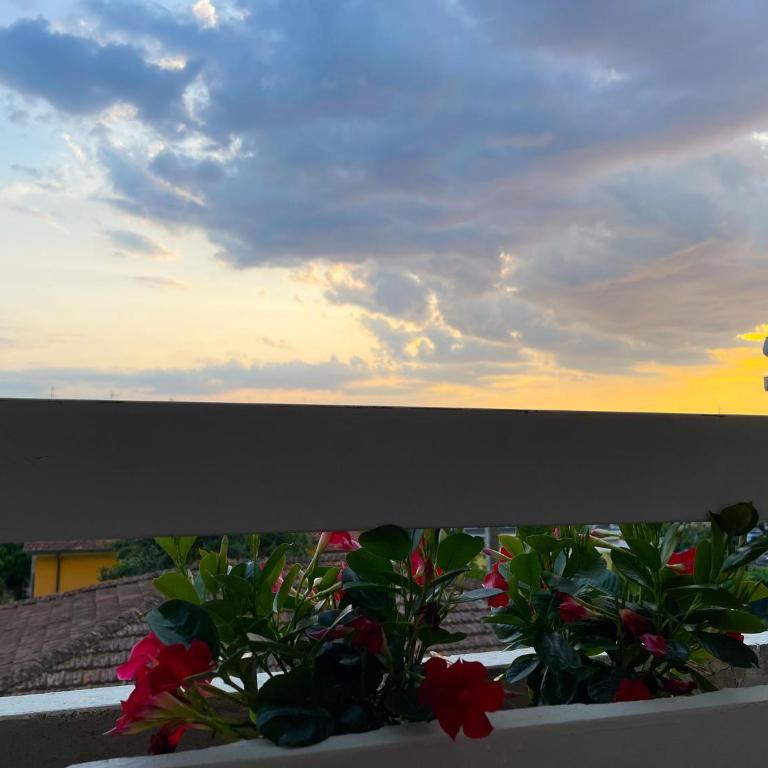 Appartamento ORIZZONTE - Appartamento con Terrazza - 33