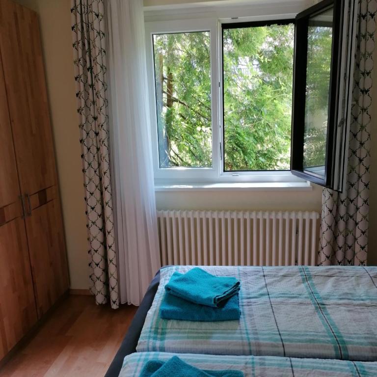 Haus Aschau - Apartment - 12