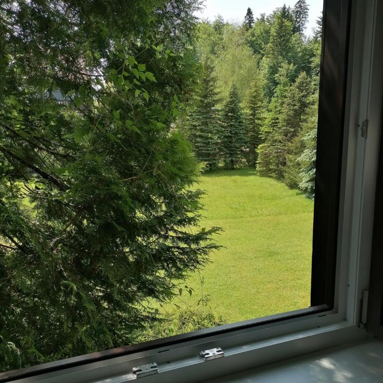 Haus Aschau - Apartment - 13