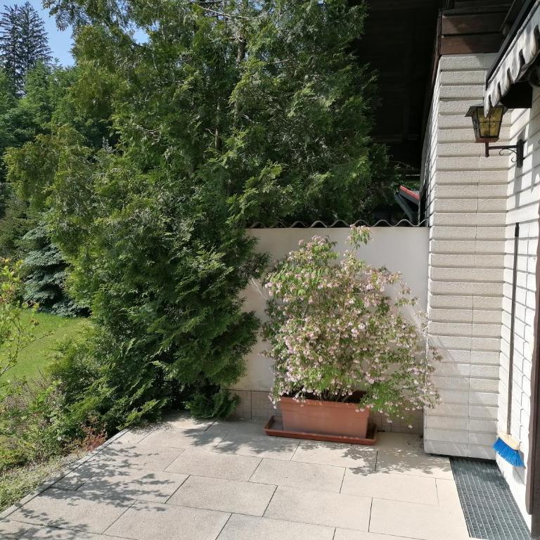 Haus Aschau - Apartment - 28