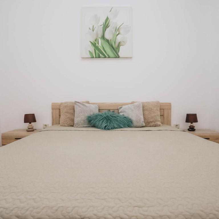Apartment near Ponta Nova of Rafailovici - Apartment with Sea View - 3