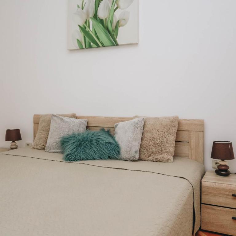 Apartment near Ponta Nova of Rafailovici - Apartment with Sea View - 8