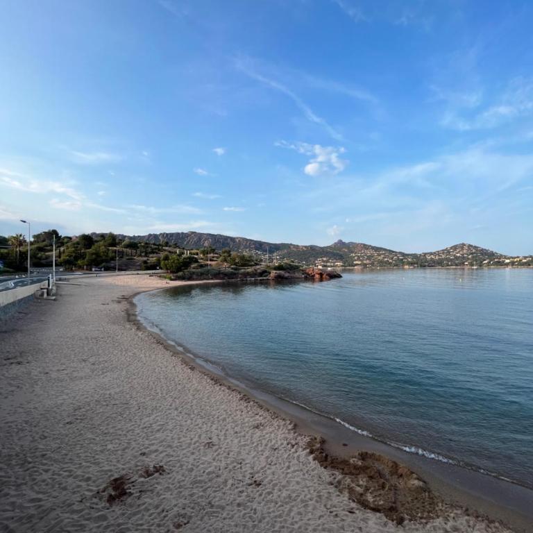 CAP ESTEREL Appartement - Appartement 1 Chambre - 15