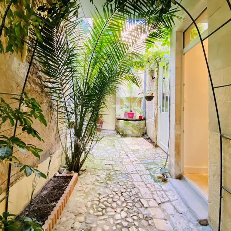 Le Logis des Templiers Vieux Port - Appartement 1 Chambre - 2