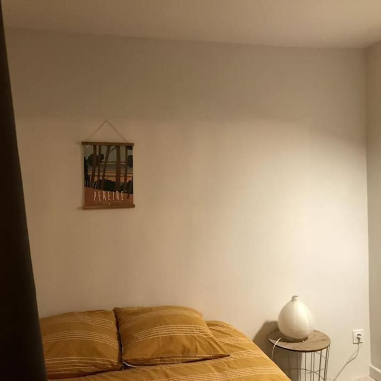 Maison de ville avec piscine - Maison 5 Chambres - 31