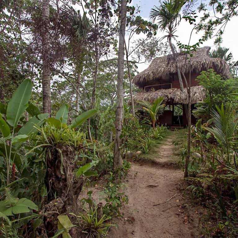 Villa Yira Eco-hotel - Casa - 2