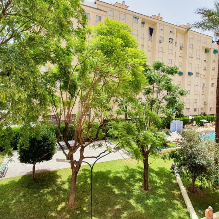 ROMA 7 - Alquiler solo Familias - Apartamento - 3